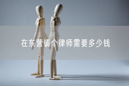 在東營(yíng)請(qǐng)個(gè)律師需要多少錢