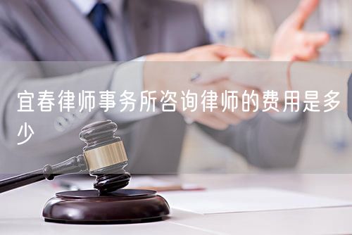 宜春律師事務(wù)所咨詢律師的費用是多少