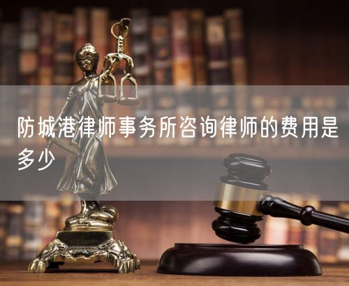 防城港律師事務(wù)所咨詢律師的費(fèi)用是多少