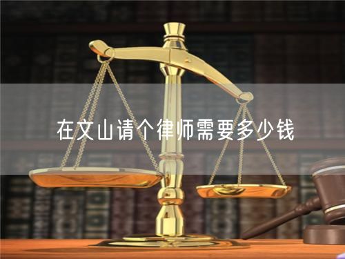 在文山請個律師需要多少錢
