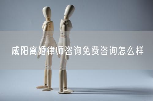 咸陽離婚律師咨詢免費咨詢怎么樣