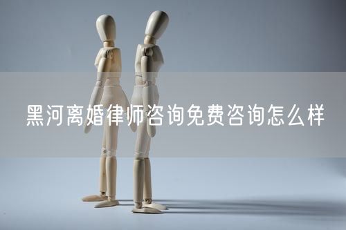 黑河離婚律師咨詢免費咨詢怎么樣