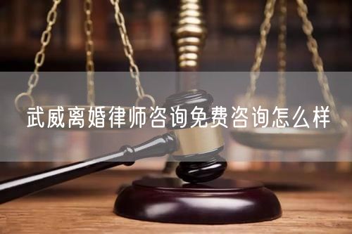 武威離婚律師咨詢免費咨詢怎么樣