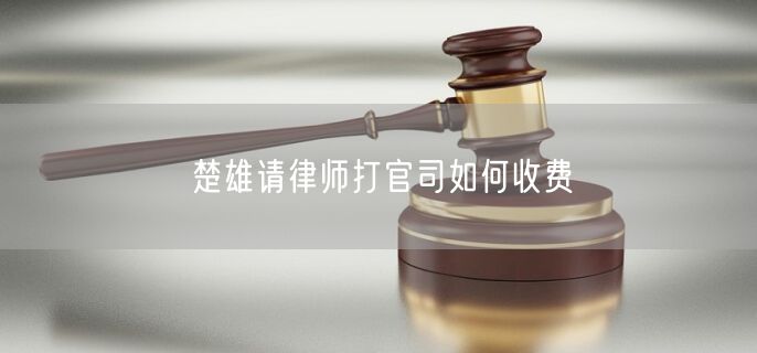 楚雄請律師打官司如何收費