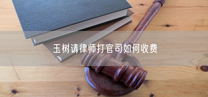 玉樹請律師打官司如何收費