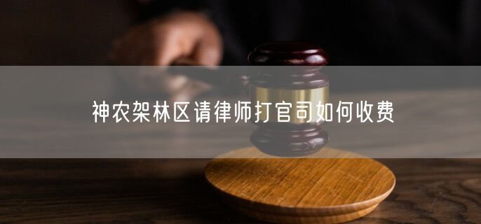 神農(nóng)架林區(qū)請律師打官司如何收費