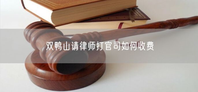 雙鴨山請律師打官司如何收費(fèi)