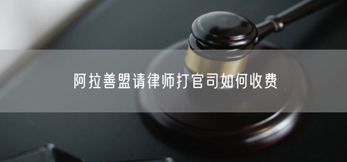 阿拉善盟請律師打官司如何收費